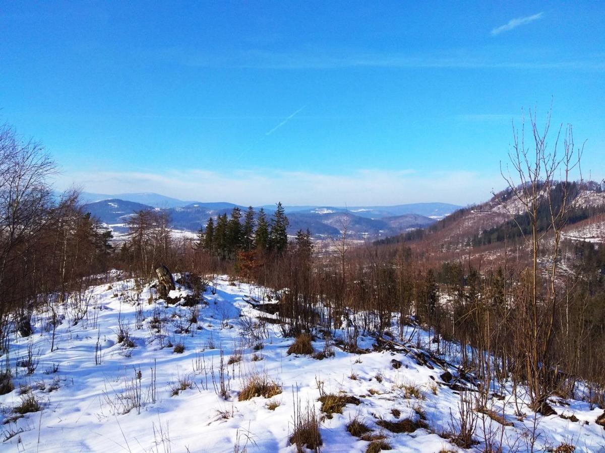 Pod Klonem Z Balia I Sauna Lubawka Extérieur photo